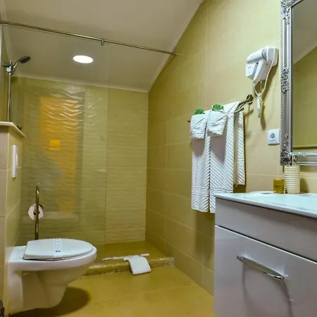 Hotel Boutique Alina Deva