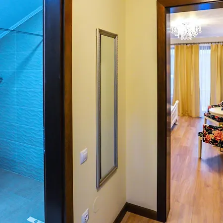 Boutique Alina Hotel Deva